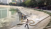 Thông tin thêm về việc ô nhiễm ở hồ Ngọc Khánh