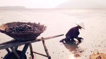 Vì sao họ hoang mang?