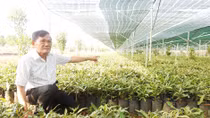 Doanh nhân Việt kiều sống dở chết dở vì thói làm ăn quan liêu của địa phương