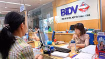 BIDV đề xuất ngừng tính lãi vay theo Nghị định 67 tại các địa phương có hiện tượng cá chết hàng loạt