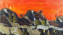 “Hoàng tử bé” Lê Thanh Sơn