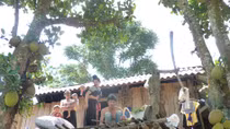 Mụ mị những vùng rốn ma túy