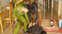 Ngáo đá, vác dao sát hại bác ruột