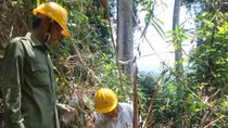 Rừng đặc dụng Bà Nà - Núi Chúa bị lâm tặc tàn phá tan nát