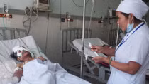 Hai cụ già bị heo rừng cắn đã qua cơn nguy kịch
