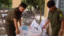 Tiêu hủy 72 kg đỉa sấy khô nhập lậu