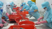 Đồng bằng sông Cửu Long nguy cơ thiếu lao động do di cư