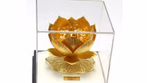 Hoa hậu Phạm Hương mang Sen Vàng đến Miss Universe