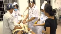 Bị rắn hổ mang cắn khi dọn dẹp nhà kho 
