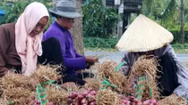 Sự lệ thuộc thời hiện đại