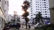 Lãi suất giảm 'bẩy' thị trường bất động sản khởi sắc