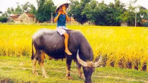 Sự nhẫn nhịn