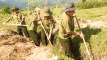 Nhiều hoạt động xung kích tình nguyện vì cộng đồng