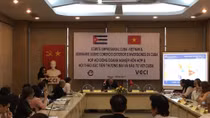 Xúc tiến thương mại và đầu tư vào Cuba