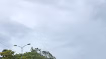 Chấp nhận C/O mẫu E mới