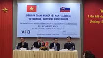 Thúc đẩy hợp tác kinh tế Việt Nam-Slovakia