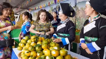 GDP quý I/2021 ước tính tăng 4,48%