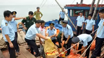 Phát hiện vụ vận chuyển pháo nổ cực "khủng"