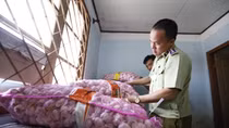 Giả danh quản lý thị trường lừa mua tài liệu