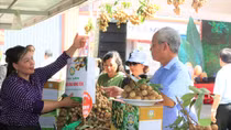 Khai mạc Tuần lễ Nhãn lồng và nông sản tỉnh Hưng Yên năm 2019