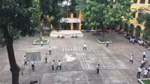 Trồng cây gì trong trường học để an toàn