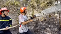 Sét đánh cháy rừng trên đỉnh Phú Sơn