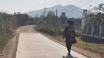 Những cuộc ly hương sau canh bạc ngày tết