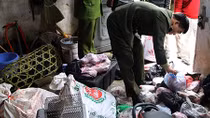 Phát hiện "kho" chứa thú hoang và cây thuốc phiện