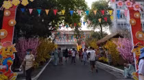 Tươi sáng những đường hoa trong bệnh viện