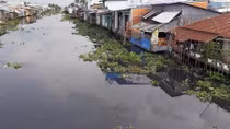Nhà máy mía đường cồn Long Mỹ Phát là “thủ phạm” gây ô nhiễm nước sông Cái Lớn