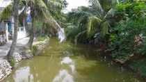 Hai chị em sinh đôi và bạn học đuối nước thương tâm