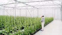 Vì sao doanh nghiệp khó tiếp cận vốn vay ngân hàng