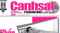 Đón đọc CSTC cuối tuần số 250