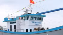 Hạ thủy tàu đánh cá kết cấu vật liệu composite giá trị hơn 12,8 tỷ đồng