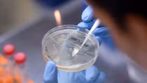 Con đường tìm vaccine trị COVID-19: Trở ngại thiếu tiền