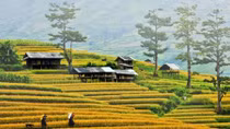 Tour du lịch biển vẫn “hot” trong dịp 2-9