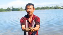 Miền Tây xả lũ đón… phù sa