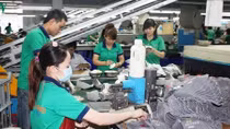 Hơn 62 ngàn lượt lao động được tư vấn nghề và giới thiệu việc làm