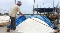 Diêm dân khóc ròng vì muối ế