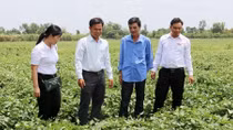 Agribank hợp tác thành công mô hình kinh tế nông hộ ở miền Tây