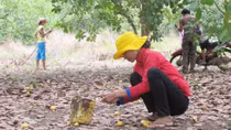 Xử lý, ngăn chặn bán điều non, cầm cố đất