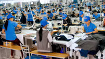 Tích cực sản xuất ngay những ngày đầu năm mới