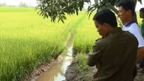 Những vụ án đau lòng từ bẫy điện