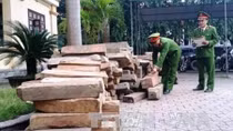 Hơn 4m³ gỗ lim và sến “không có giấy tờ”