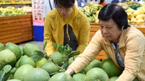Hỗ trợ hợp tác xã xây dựng tiêu chuẩn hướng đến xuất khẩu