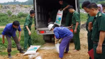 Tiêu hủy 2700kg mỳ chính nhập lậu