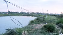 Mẹ chết thảm vì vướng vào dây điện bẫy chuột của con trai