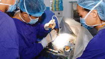 Những dấu ấn trong năm 2018 của y học Việt Nam