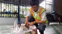 Lặng lẽ tô điểm cho cuộc sống bình yên