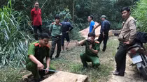 Phát hiện bãi tập kết gỗ lậu ven rừng